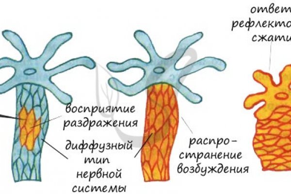 Кракен сайт продаж