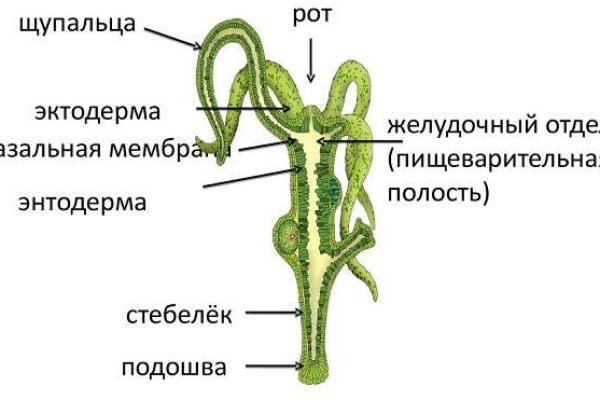 Как загрузить фото на сайт кракен