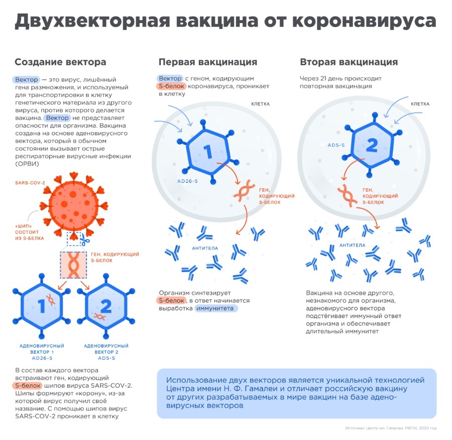 Даркнет зеркало на кракена